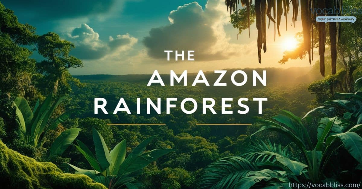 The Amazon Rainforest