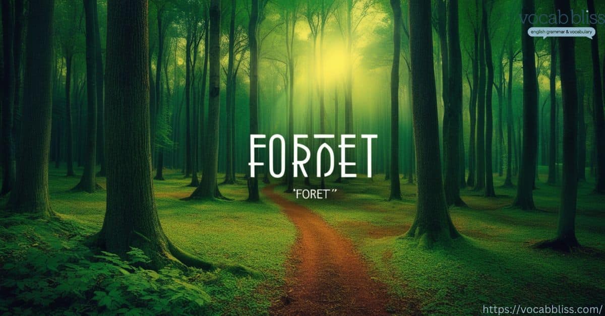 forêt Forrest Or Forest