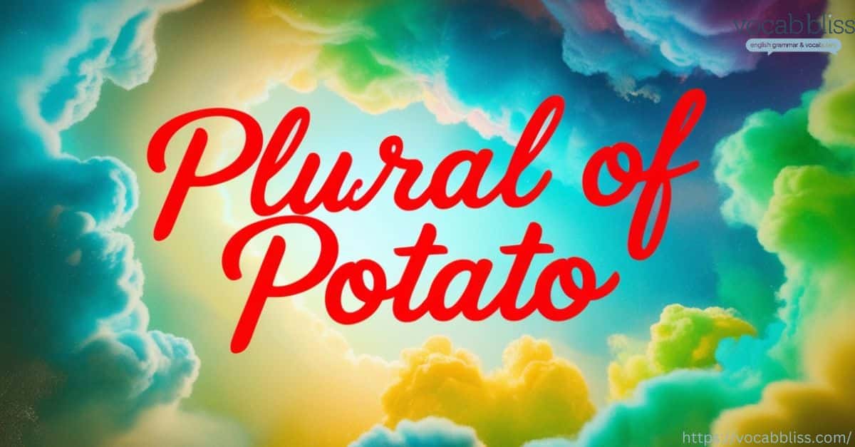 plural od potato