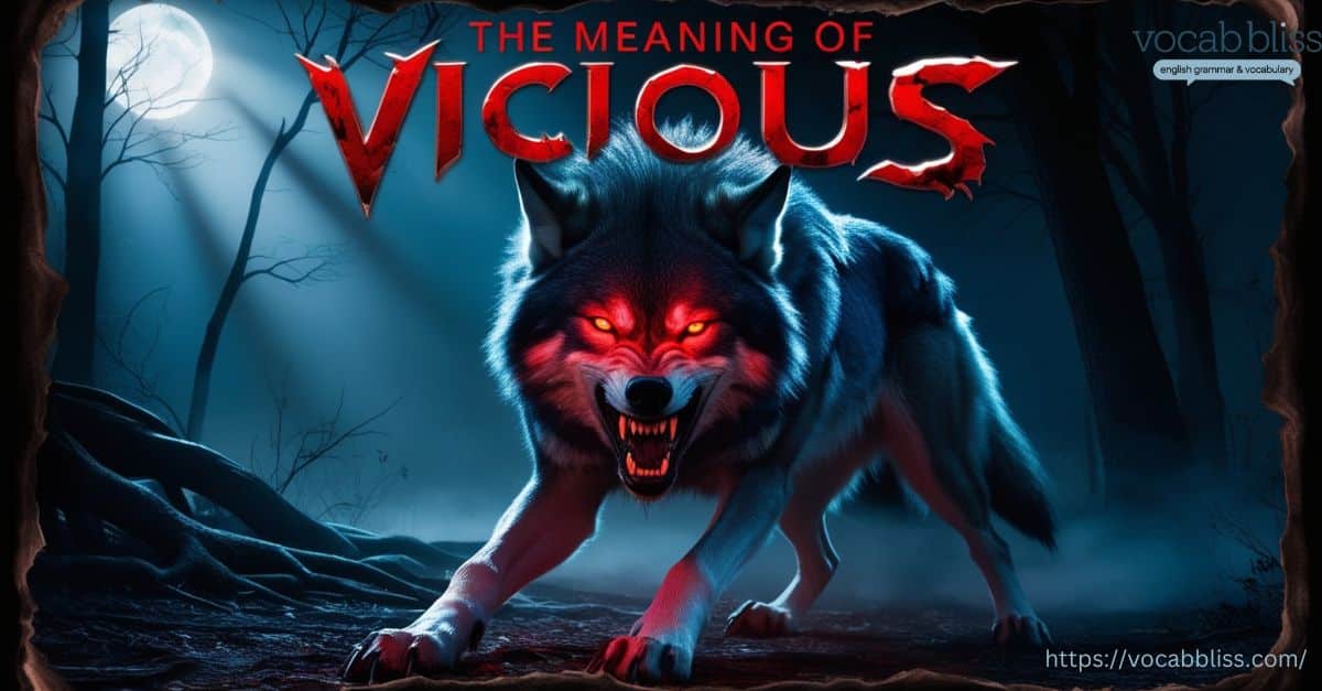 The Meaning of Vicious