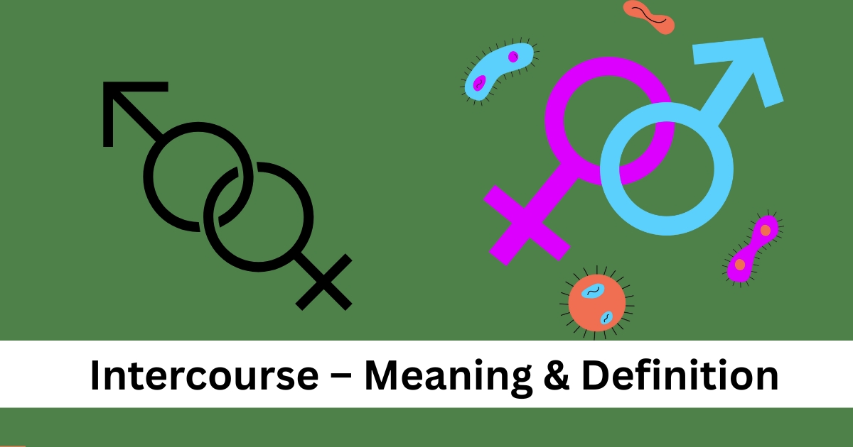 Intercourse – Meaning & Definition