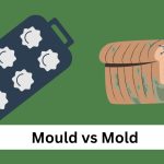 mould vs mold