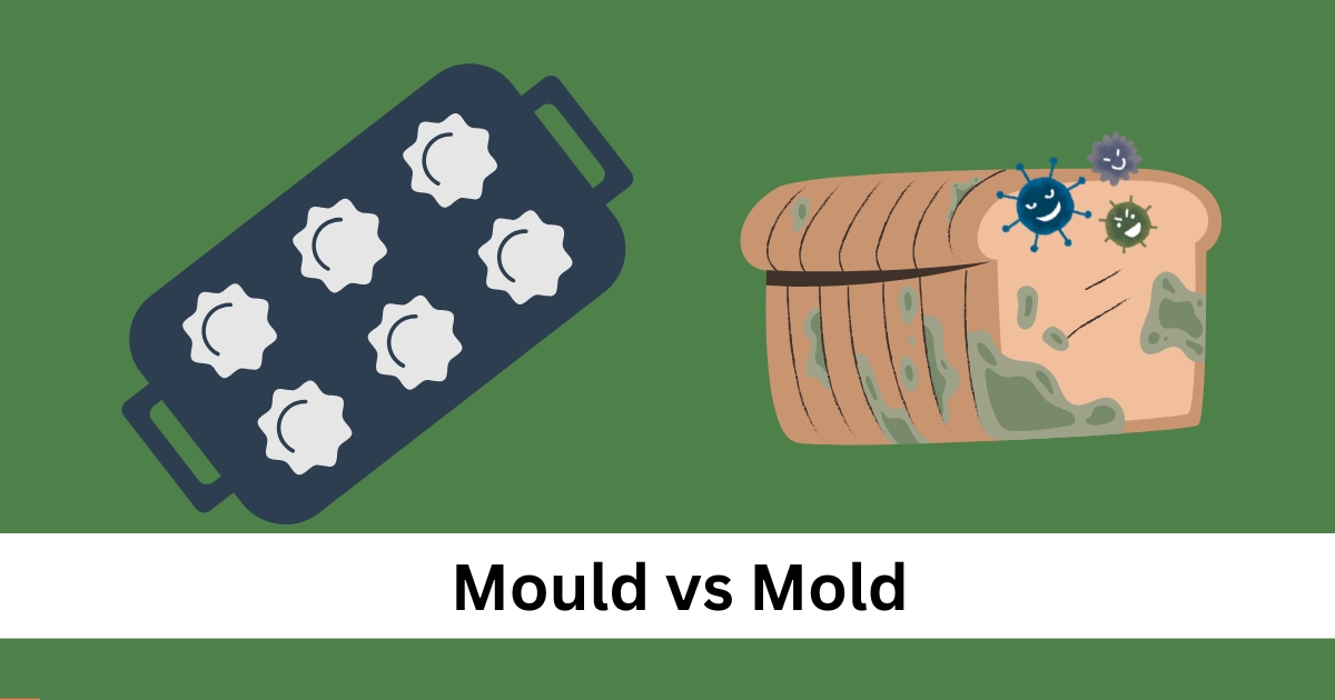 mould vs mold